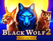 An Exciting Black Wolf 2 Slot Experience